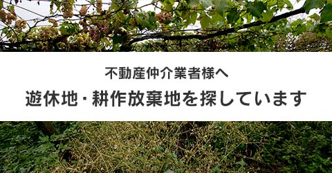 不動産仲介業者様へ 遊休地・耕作放棄地を探しています